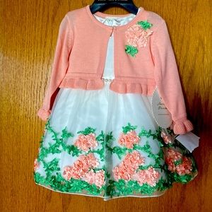 American Princess special occasion dress